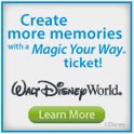 Orlando Attraction tickets