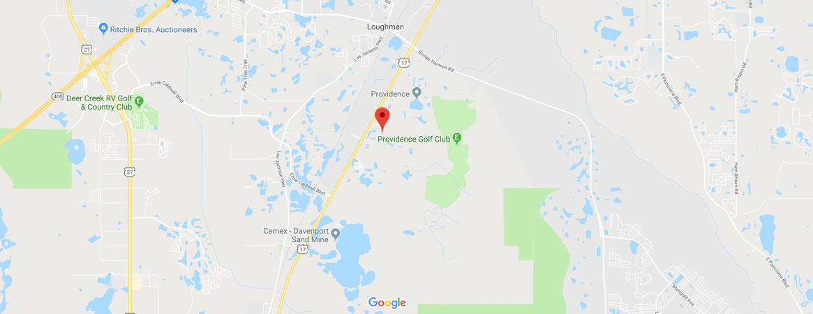 Orange Cosmos Blvd, Davenport, FL 33837